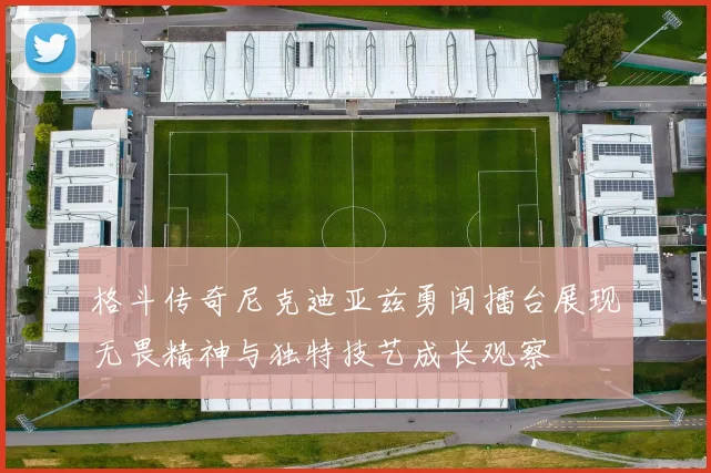 格斗传奇尼克迪亚兹勇闯擂台展现无畏精神与独特技艺成长观察