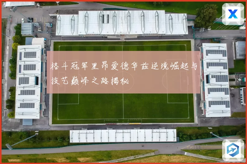 格斗冠军里昂爱德华兹逆境崛起与技艺巅峰之路揭秘