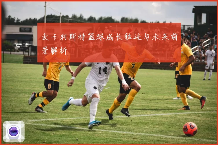 麦卡利斯特篮球成长轨迹与未来前景解析
